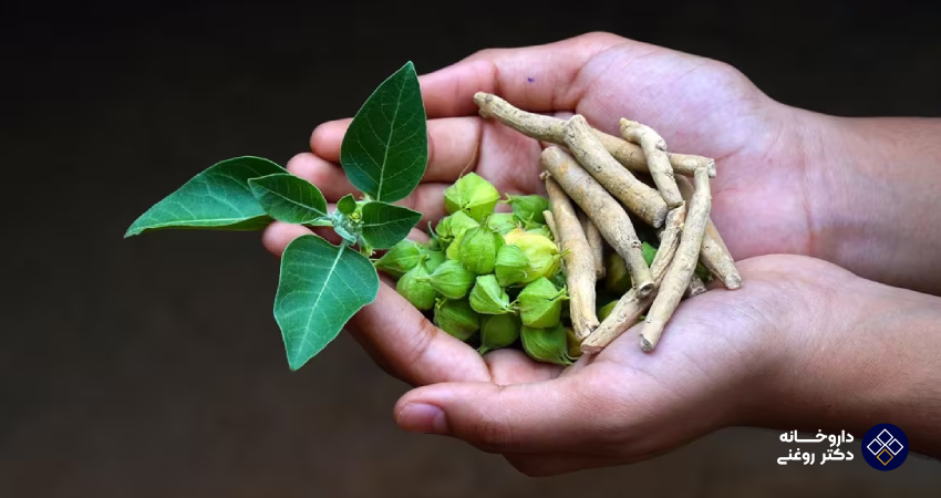 داروهای تیروئید چه تداخلی باید داروهای گیاهی دارند؟