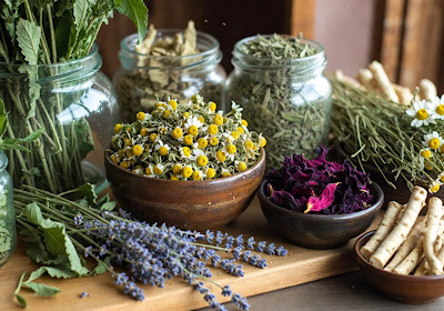 گیاهان دارویی برای رشد مو | تقویت موی سر با بهترین روش‌ها